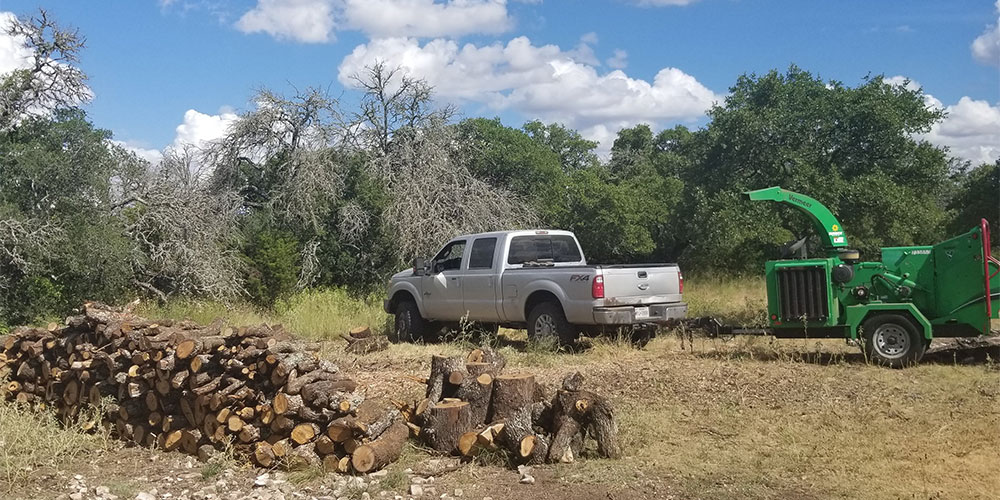 Cedar Mulching Project